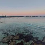 Pomelo Ayia Napa